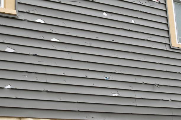 Trusted Center Moriches, NY Junk Removal Experts